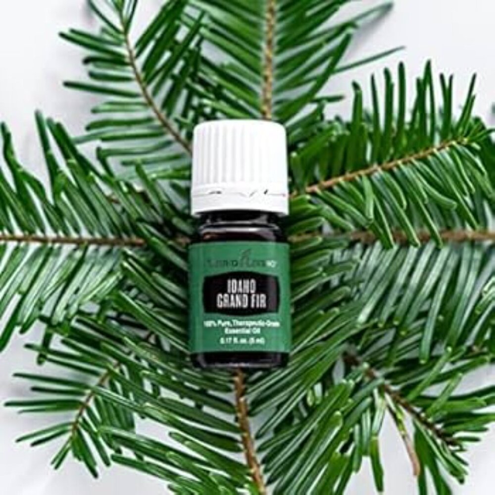 NEW Young Living 5 ml Idaho Grand Fir Essential Oil